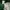 Nike Vintage Y2K Jersey Pria green photo 3