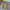Beverly Hills Polo Club Casual Harrington jacket Pria multicolor photo 5