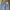 THE GAP LIGHTBLUE JEANS photo 7