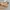 Dickies Boots Marteen Nubuck photo 4