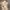 Dickies Boots Marteen Nubuck photo 1