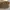 Dickies Boots Marteen Nubuck photo 3