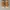 Timberland Adventure 2 0 Nubuck Chukaa Boots photo 3