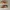 Timberland Adventure 2 0 Nubuck Chukaa Boots photo 4