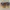 Timberland Adventure 2 0 Nubuck Chukaa Boots photo 5