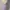 Dress satin press body photo 3