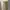 Dress bodycon pest photo 4
