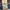 Light Blue Ripped denim shorts (guess) photo 7