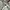 Adidas Casual Sweatshirt Pria gray photo 4