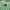 New Balance Casual Sweatshirt Pria green photo 3