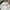 Le Coq Sportif Casual Sweatshirt Pria White