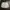 URBANDTYPE NYLON SHORT PANTS photo 1