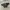 Dr Martens Jadon Women  photo 3