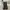 Dr Martens Jadon Women  photo 4