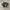Dr Martens Jadon Women  photo 2
