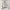 Minimalist Casual Windbreaker Wanita white brown photo 2