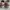 Adidas Superstar Boost Original photo 4