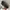 Tas Longchamp long handle Size large photo 4