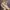 Timberland Boots Roll Top Camo Original photo 2