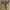 Timberland Boots Roll Top Camo Original photo 4