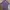 Topshop Casual Formal Shirt Pria Multicolor