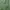 Mammut Minimalist Casual Puffer jacket Wanita green photo 7