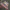 NEW ERA NFL HAWAII PRO BOWL photo 3