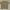 Local Brand (HEADS) oversize Male T-Shirt photo 1