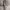Mammut Gorpcore Minimalist Puffer jacket Pria tan photo 5