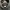 Hoodie Alpha Industries Big Logo Camo Second photo 6