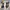 Able&Co Avant Garde Cosplay Jewellery Pria blue gray photo 1