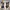 Able&Co Avant Garde Cosplay Jewellery Pria Blue Gray