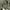 Tommy Hilfiger Minimalist Casual Puffer jacket Wanita green photo 5