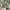 Tommy Hilfiger Minimalist Casual Puffer jacket Wanita green photo 4