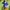 Disney Mickey - Help ! He Lop Minnie Cartoon tee photo 4