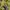 Kolon Sport Gorpcore Minimalist Windbreaker Pria yellow photo 7