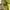 Kolon Sport Gorpcore Minimalist Windbreaker Pria yellow photo 5