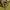 Kolon Sport Gorpcore Minimalist Windbreaker Pria yellow photo 6