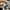 PUMA SUEDE XL photo 7