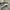 PUMA SUEDE XL photo 4