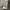 Adidas Streetwear Track jacket Pria gray photo 5