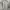 Sweat Pants By Brenson L