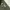PARACHUTE PANTS CARGO PIONNER  photo 6