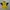 JERSEY BOLA CLUB KASHIWA REYSOL ORIGINAL 100%