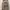 Outer/coat/dress/mini Dress Bangkok