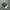 nike jordan photo 3