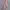 Celana /Indian Vintage/motif/y2k/ Rare