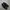 new balance 1906 photo 3