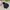 Jacket winter parka goose down eider anak hitam pekat super  photo 1