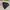 Jacket winter parka goose down eider anak hitam pekat super  photo 6